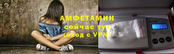 сатива Володарск