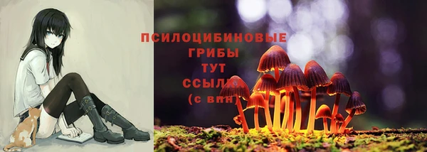 сатива Володарск