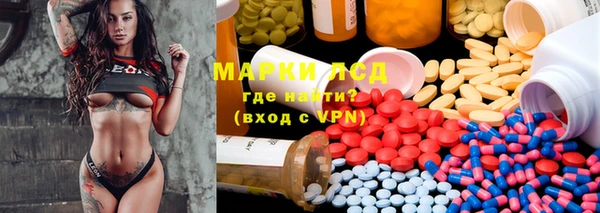 сатива Володарск