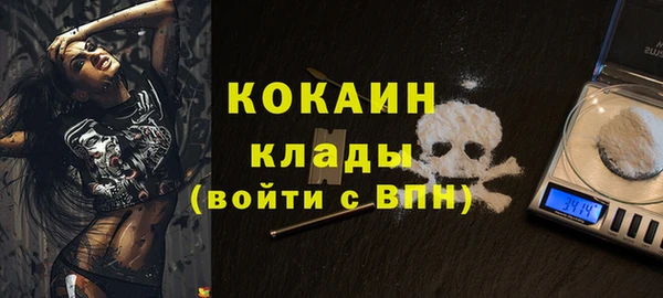 сатива Володарск