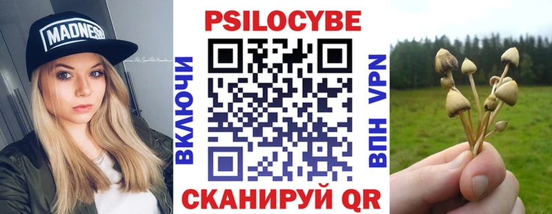 Купить  Ковдор  Галлюциногенные грибы Psilocybe 